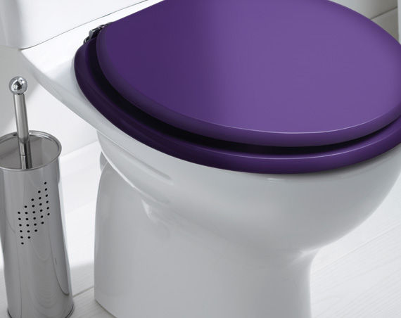 We are the leading supplier of toilet seats in the UK.